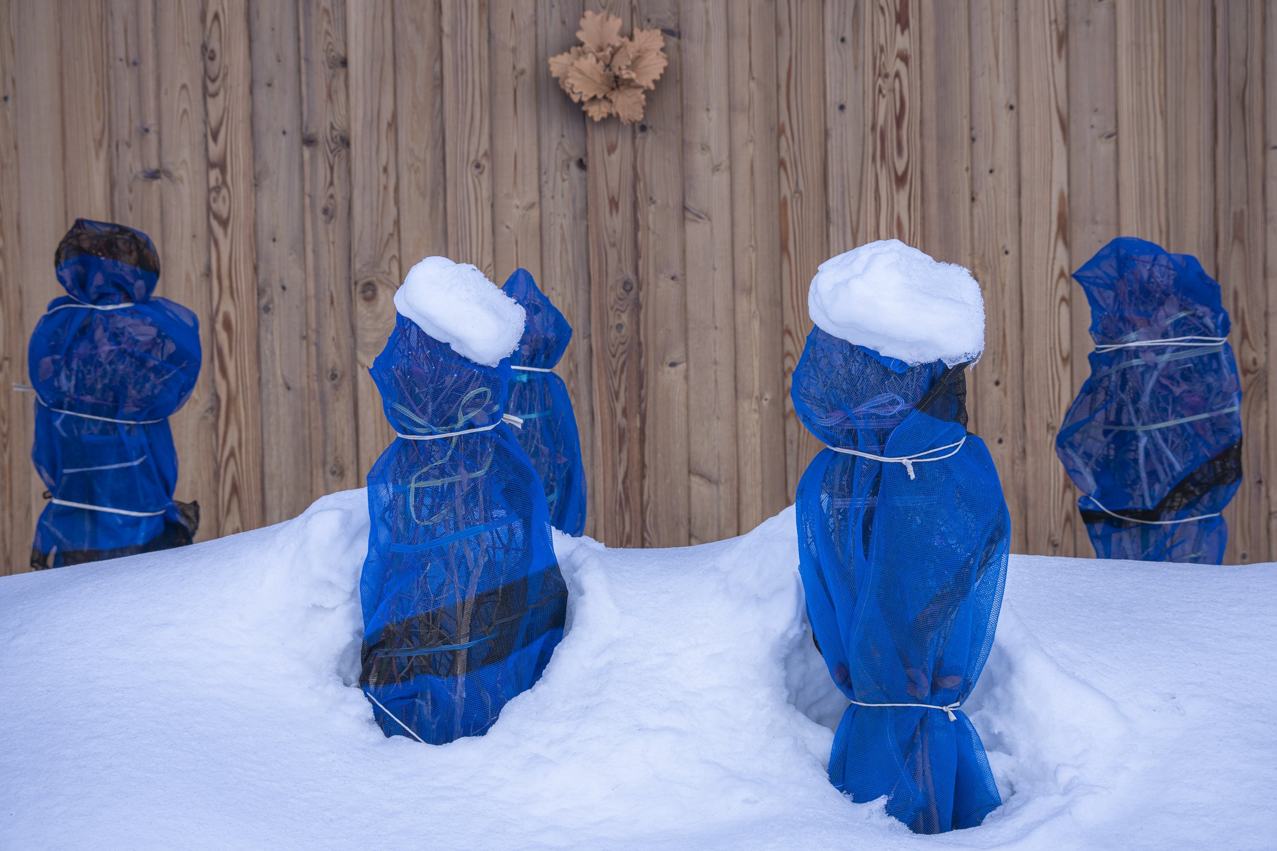 Elizabeth_Sanjuan_Bundled up-1.jpg