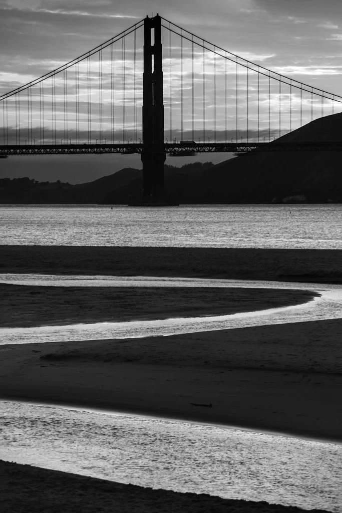 East Beach (Arthur Drooker).jpg