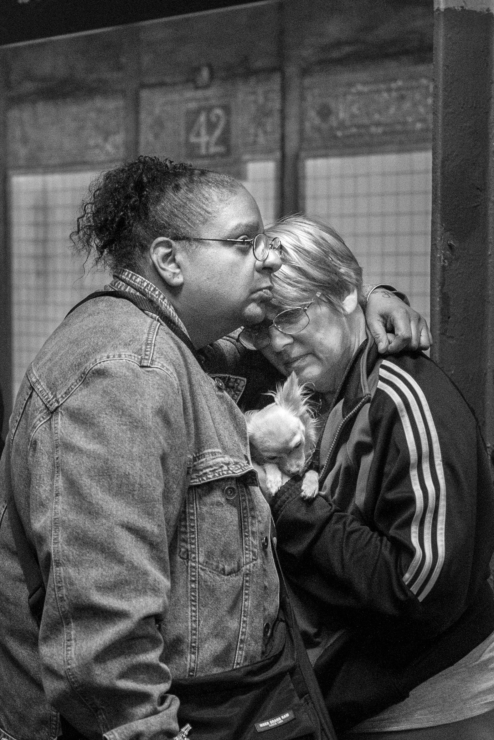 12_mario schneider_rgb.jpg