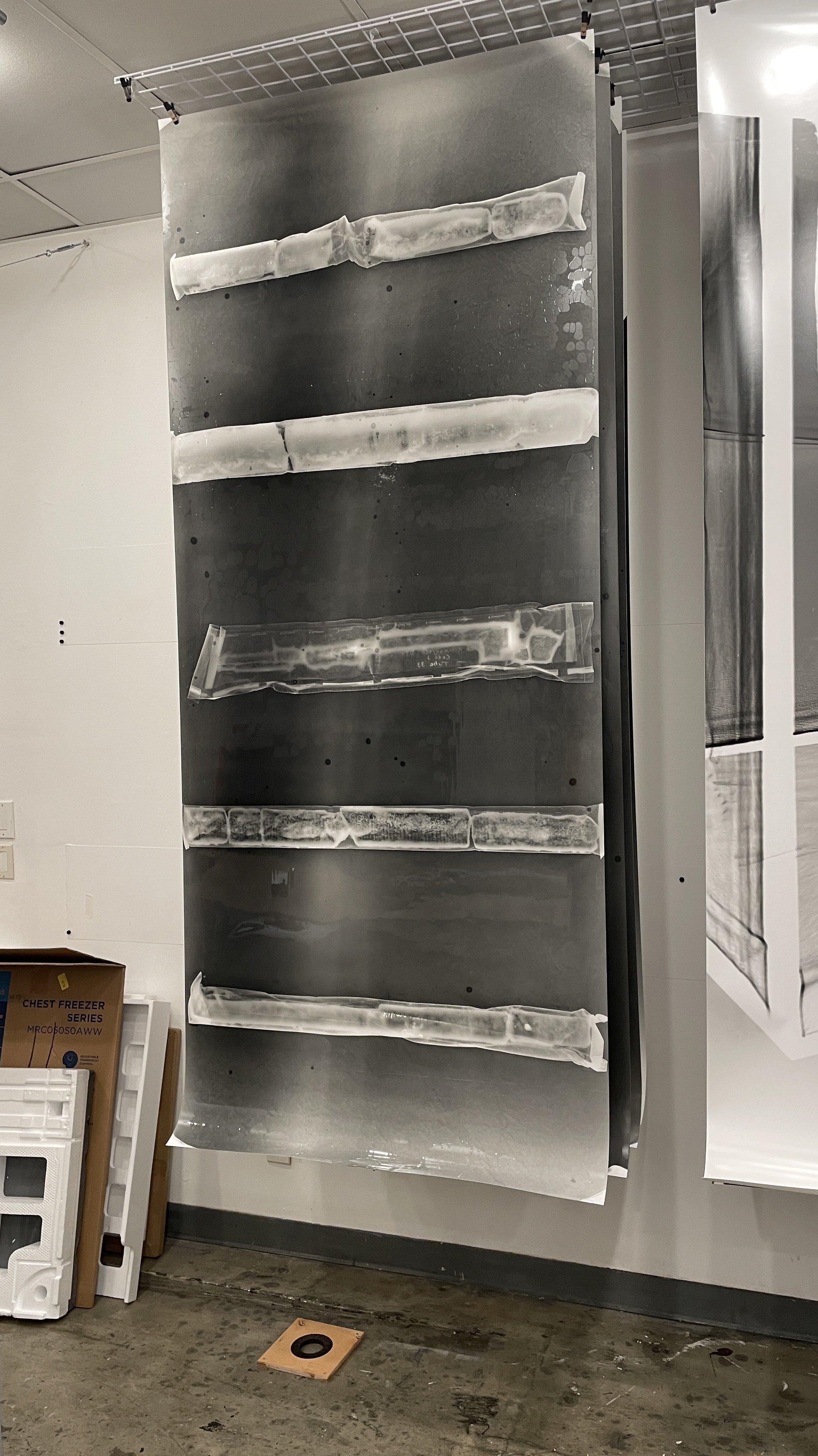 Copy of IMG_8141.JPG