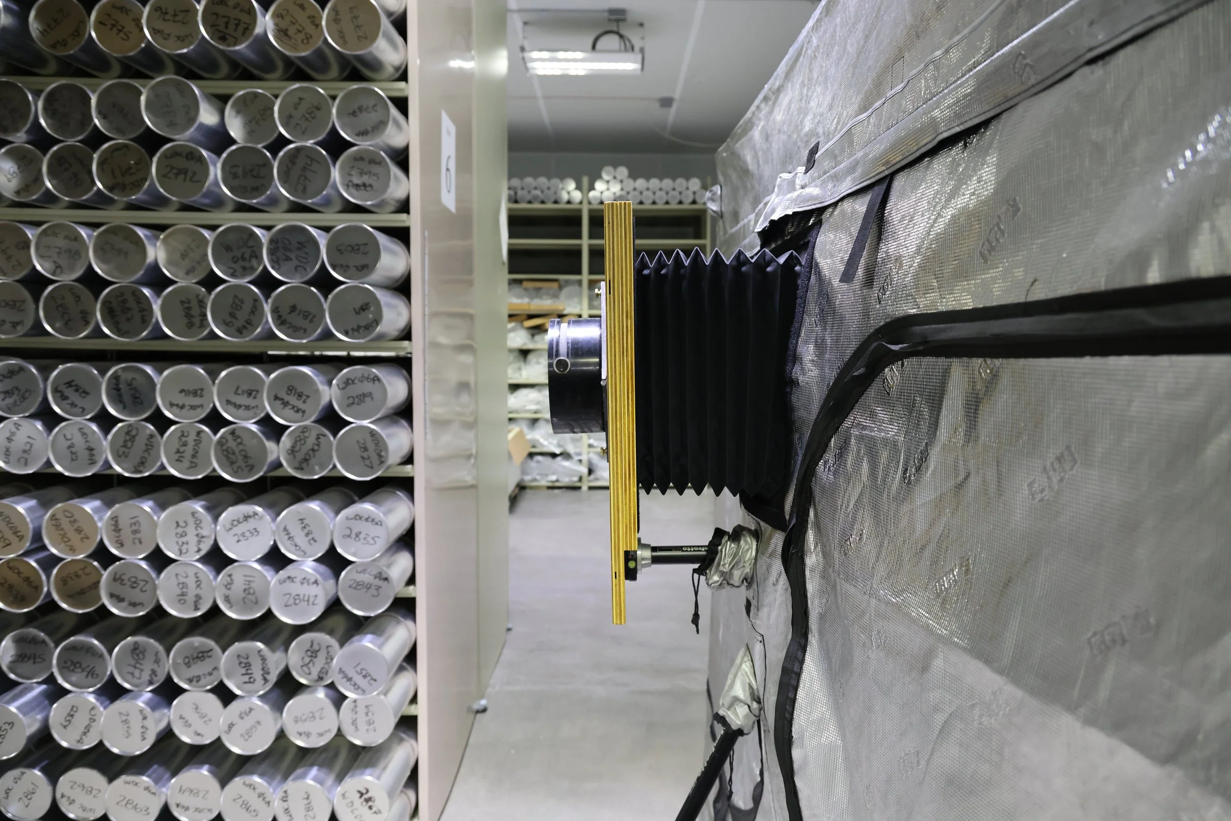 Copy of 7D9A3373.JPG