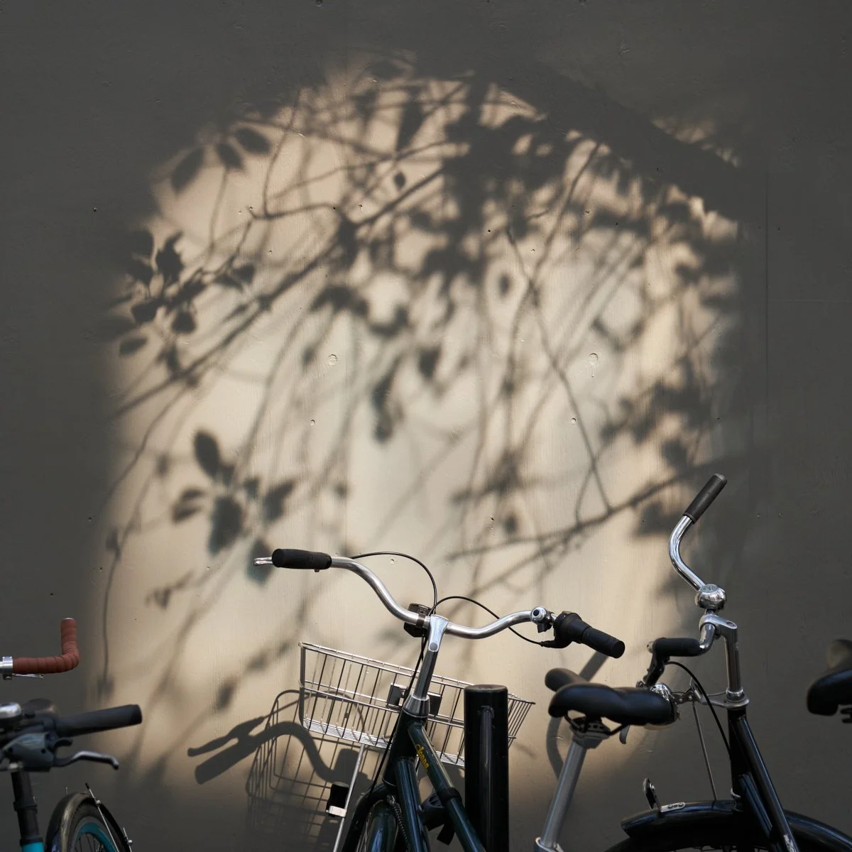 Beyond_Places_Igor_Shutov_2025 (4).jpg