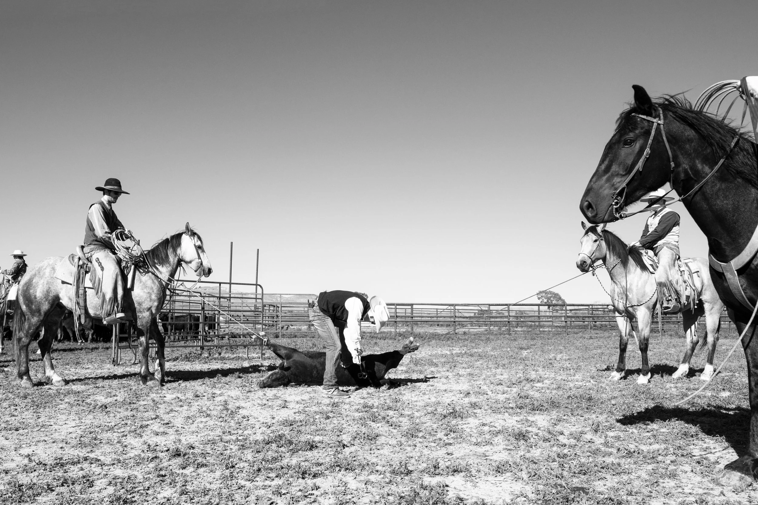 Isabelle Arnon 12.jpg