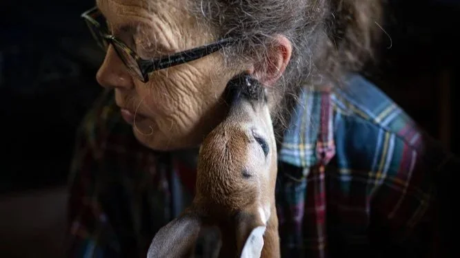 Inside Recover &amp; Release: What Photographing Wildlife Rescue Centers Taught Donna Wesley Spencer About Human Impact on Nature