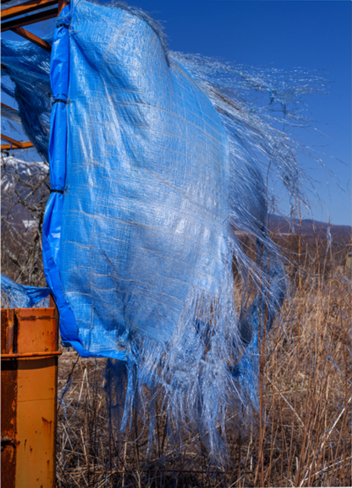 Screenshot 2026-01-12 at 11-43-34 小林のりお『Japanese Blue』 - AKAAKA.png