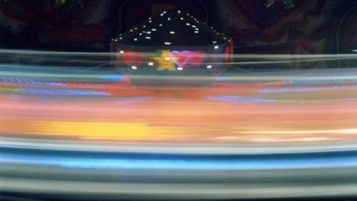 The Year of the Lizard: How Fleeting Light, Instinct, and Analogue Film Became a 63-Copy Handmade Book