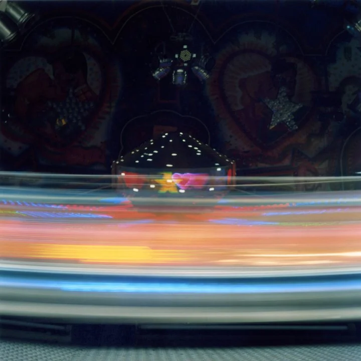 Susanne-Willuhn_Das Jahr der Eidechse-016.jpg