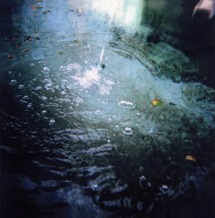 Susanne-Willuhn_Das Jahr der Eidechse-017.jpg