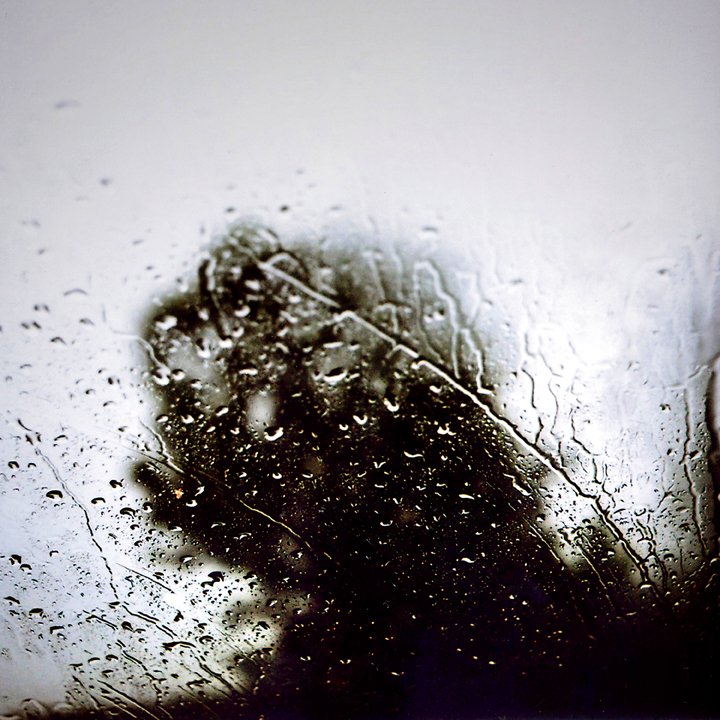 Susanne-Willuhn_Das Jahr der Eidechse-018.jpg