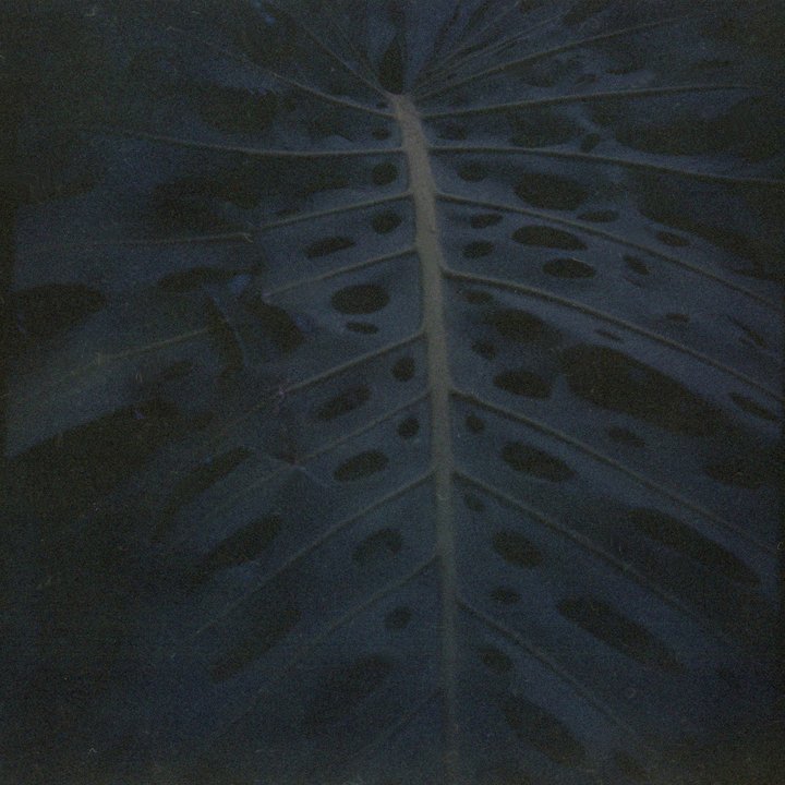 Susanne-Willuhn_ot_halbe see_03.jpg