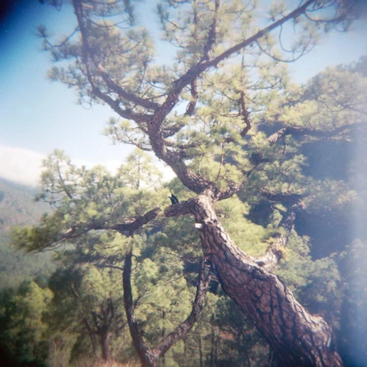 Susanne-Willuhn_ot_halbe see_08.jpg