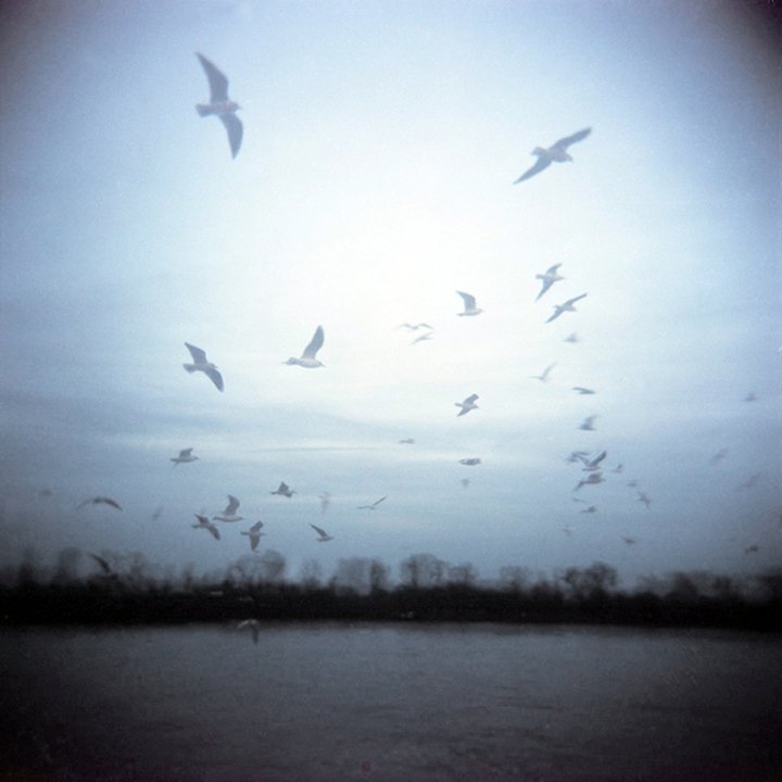 Susanne-Willuhn_ot_halbe see_09.jpg