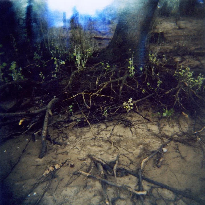 Susanne-Willuhn_Das Jahr der Eidechse-01.jpg