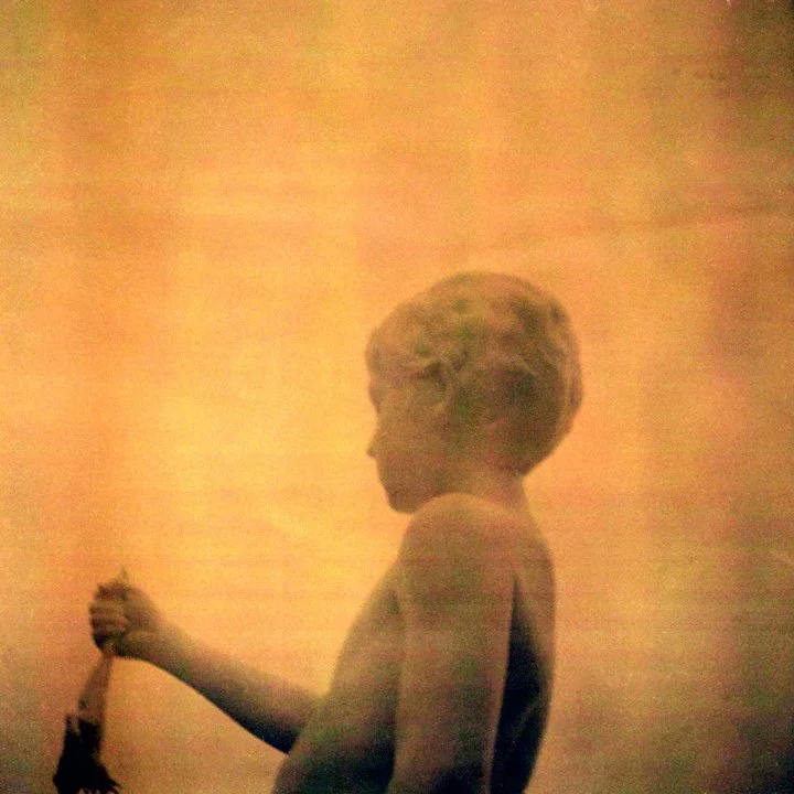 Susanne-Willuhn_Das Jahr der Eidechse-02.jpg