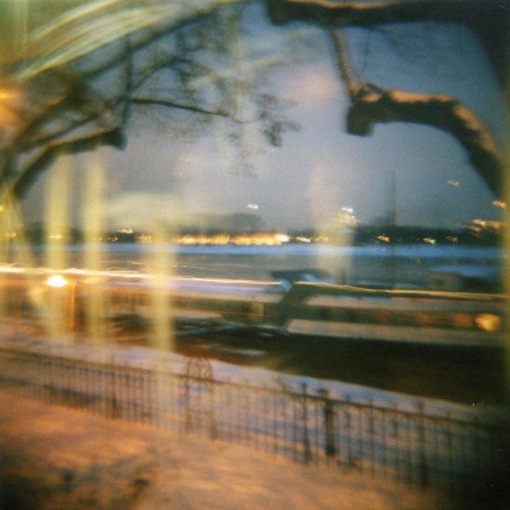 Susanne-Willuhn_Das Jahr der Eidechse-03.jpg