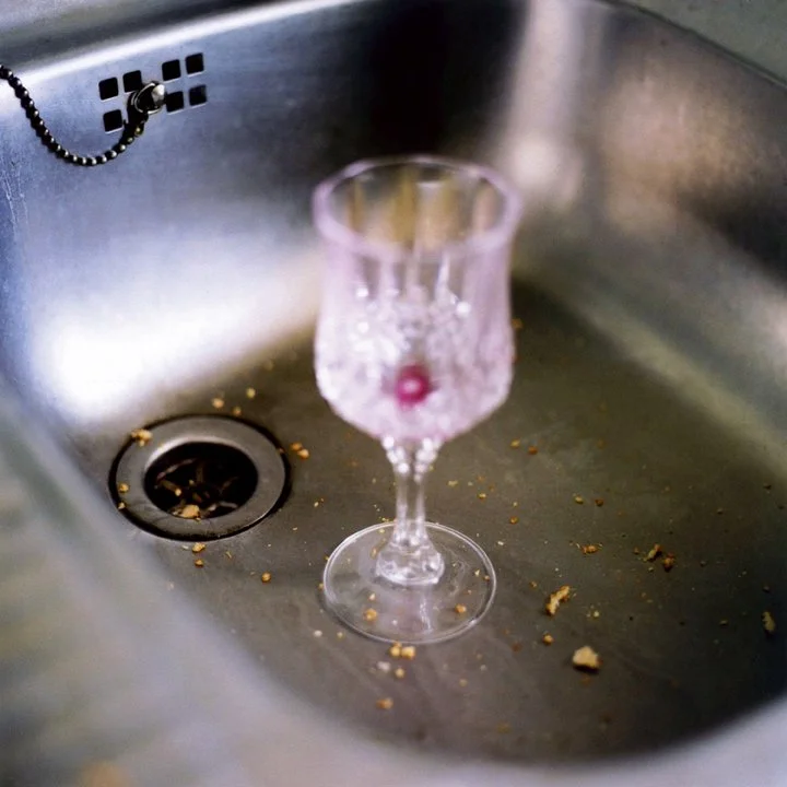 Susanne-Willuhn_Das Jahr der Eidechse-010.jpg