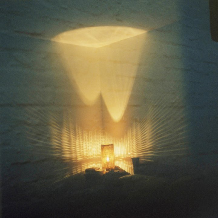 Susanne-Willuhn_Das Jahr der Eidechse-014.jpg