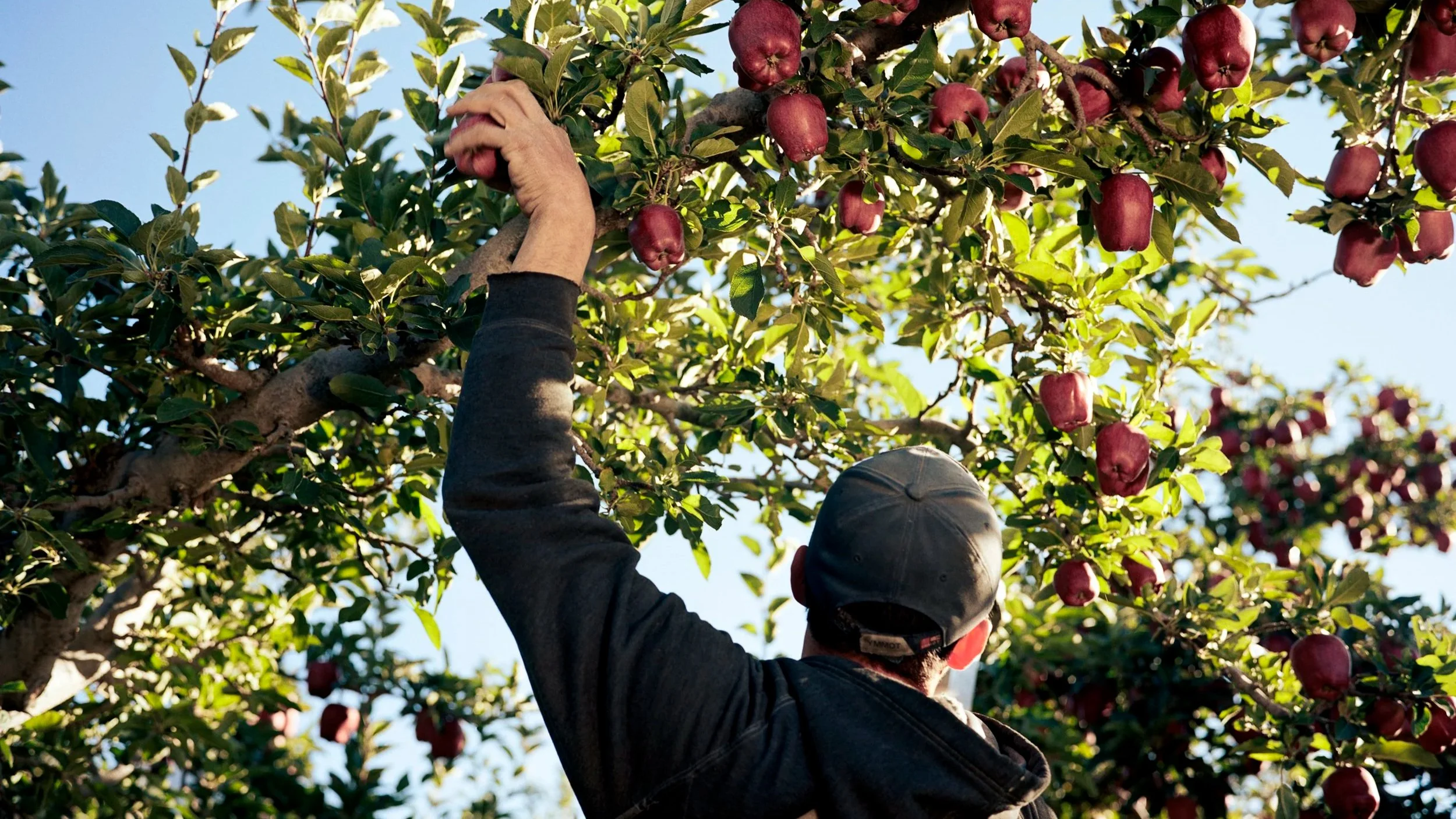 How Kathya Maria Landeros Spent 13 Years Photographing Immigrant Farm Communities to Rewrite the Story of the American West