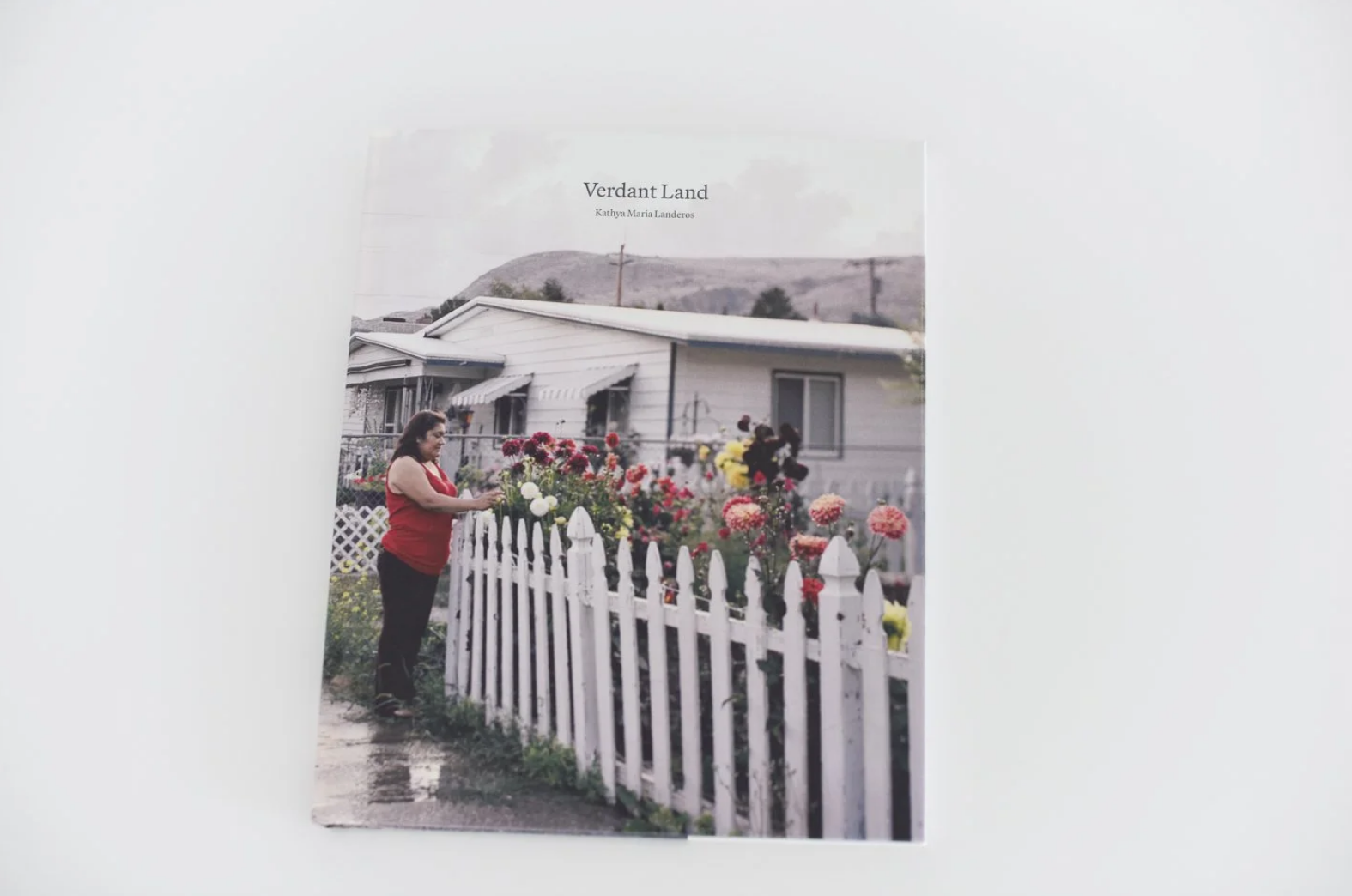 Screenshot 2026-01-14 at 11-28-27 Verdant Land by Kathya Maria Landeros — Dust Collective.png