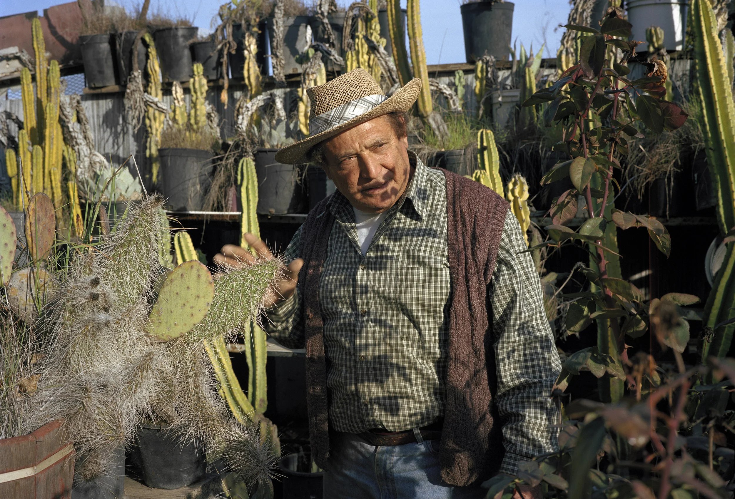 KathyaLanderos_Natoinhiscactusgarden.jpg