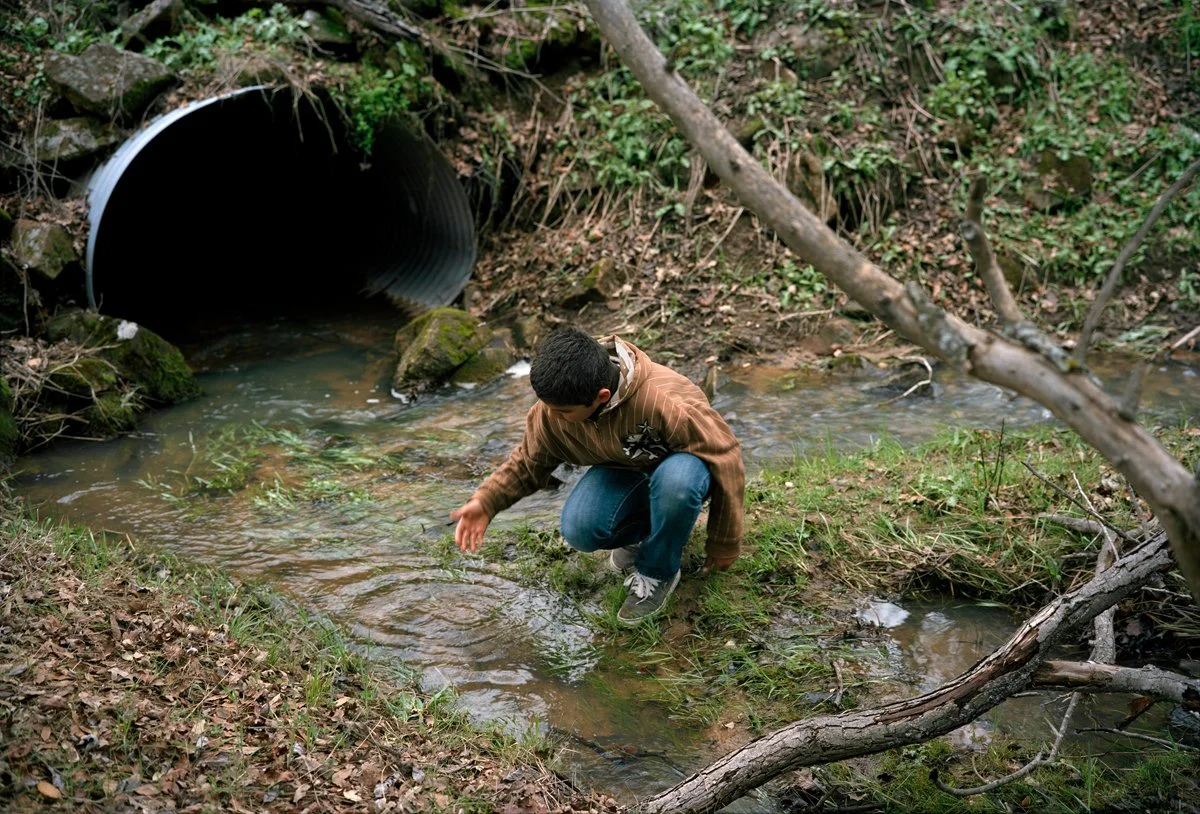 Verdant Land Kathya Maria Landeros Dust Collective02.jpg