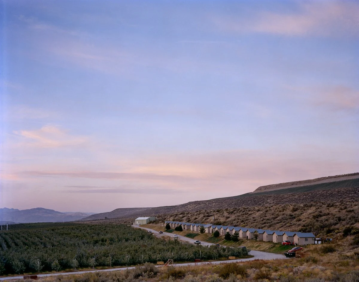 Verdant Land Kathya Maria Landeros Dust Collective05.jpg