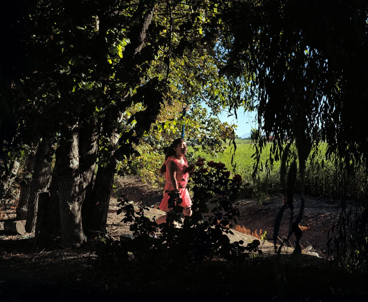 Verdant Land Kathya Maria Landeros Dust Collective07.jpg