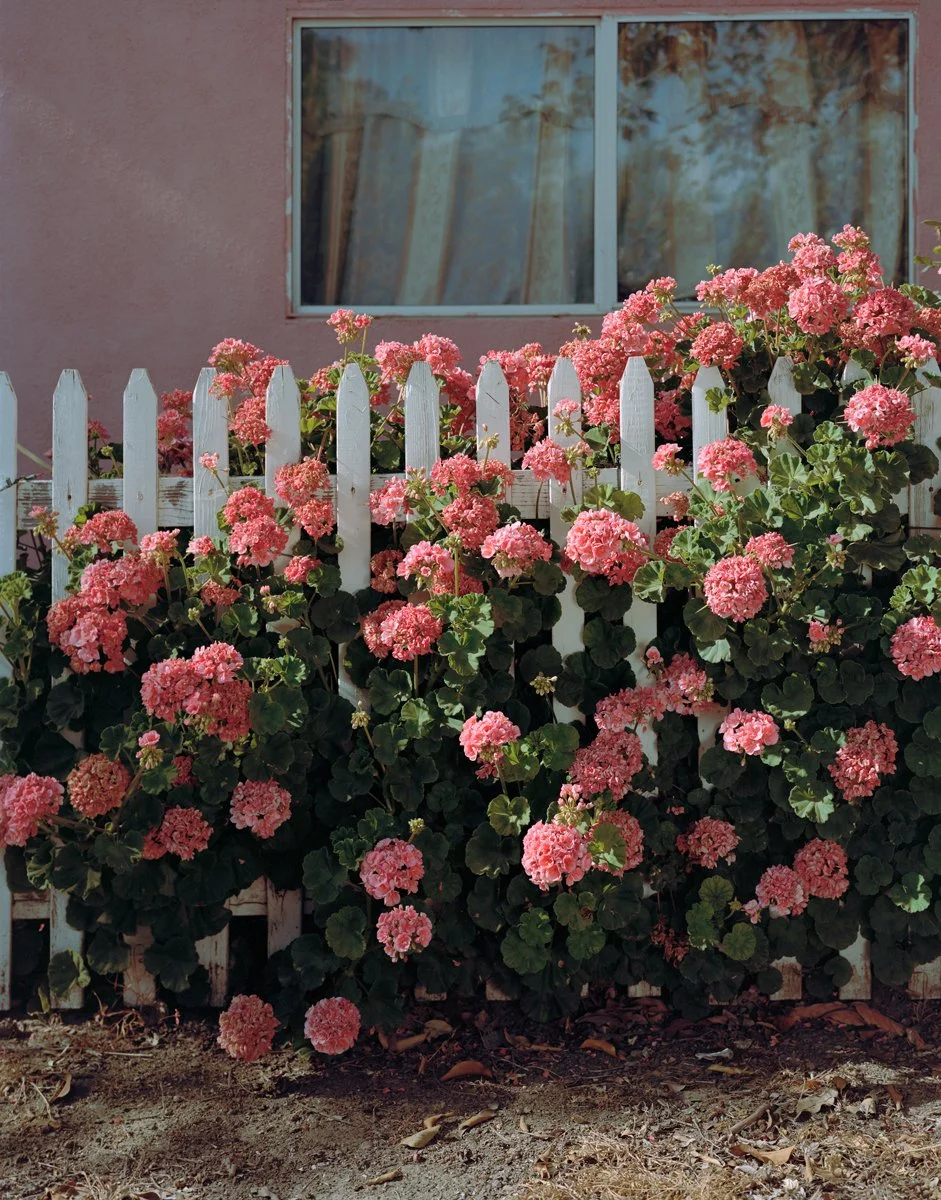 Verdant Land Kathya Maria Landeros Dust Collective13.jpg