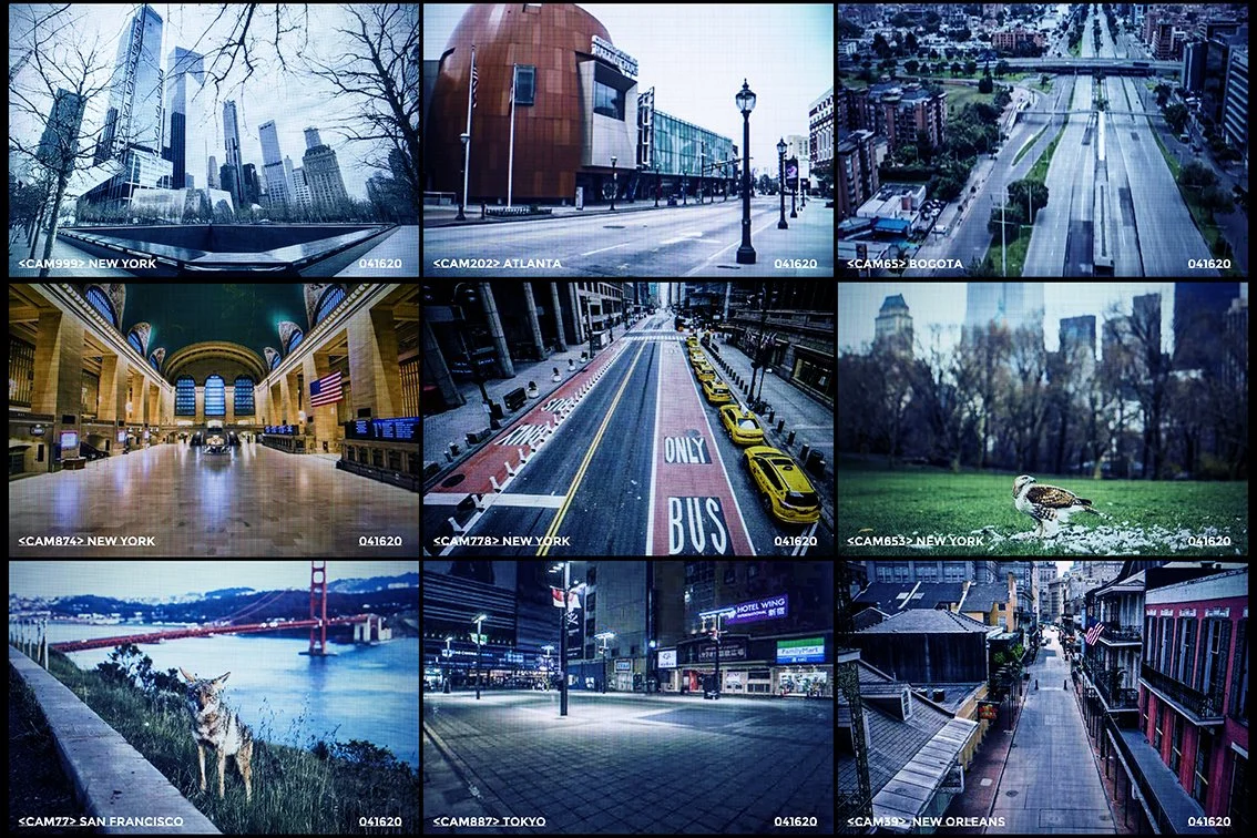 2020-A Viral Odyssey-11-Rozenbaum.jpg