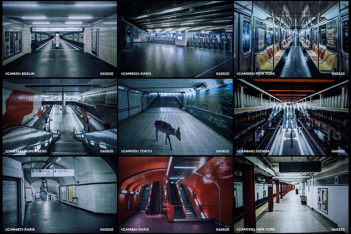 2020-A Viral Odyssey-06-Rozenbaum.jpg