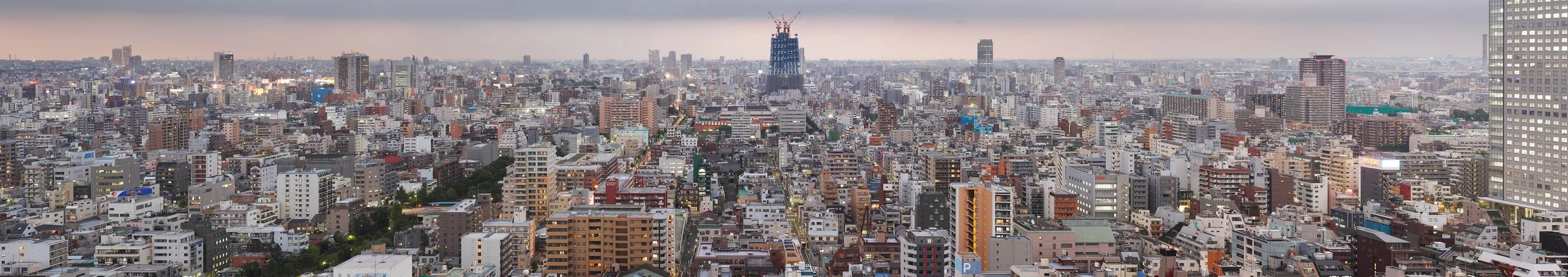 View from Kinshi, Sumida Ward, Tokyo, September 9, 2009.jpg