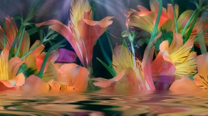 I Throw Away Most of My Images: Huntington Witherill on Failure, Discipline, and Photo Synthesis