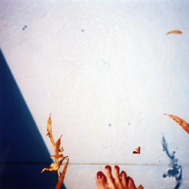 Susanne-Willuhn_Das Jahr der Eidechse-08.jpg