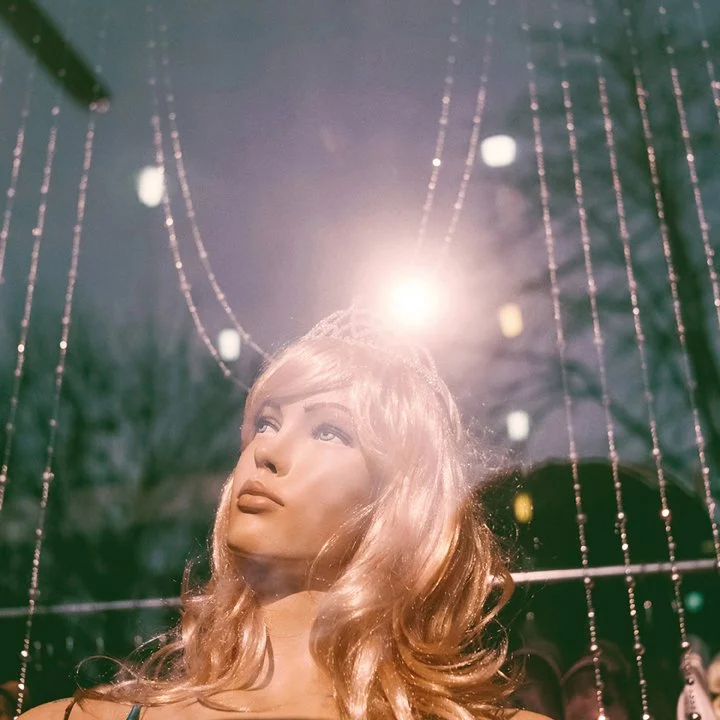 Susanne-Willuhn_Das Jahr der Eidechse-09.jpg