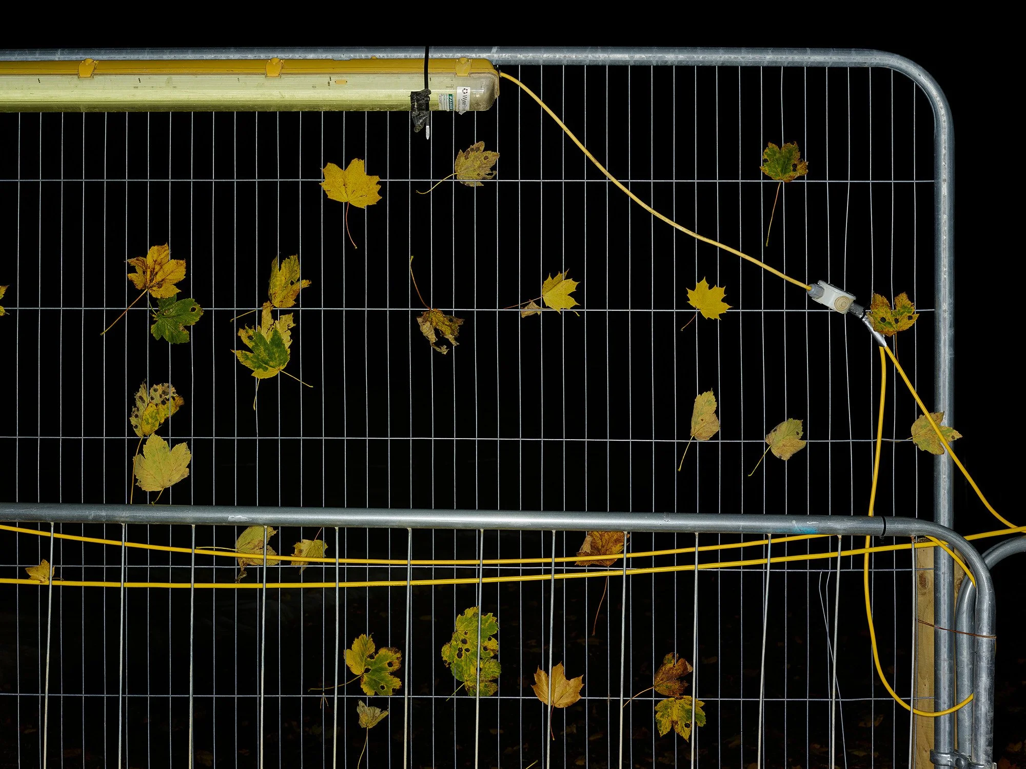 Untitled #214 Mark Power.jpg