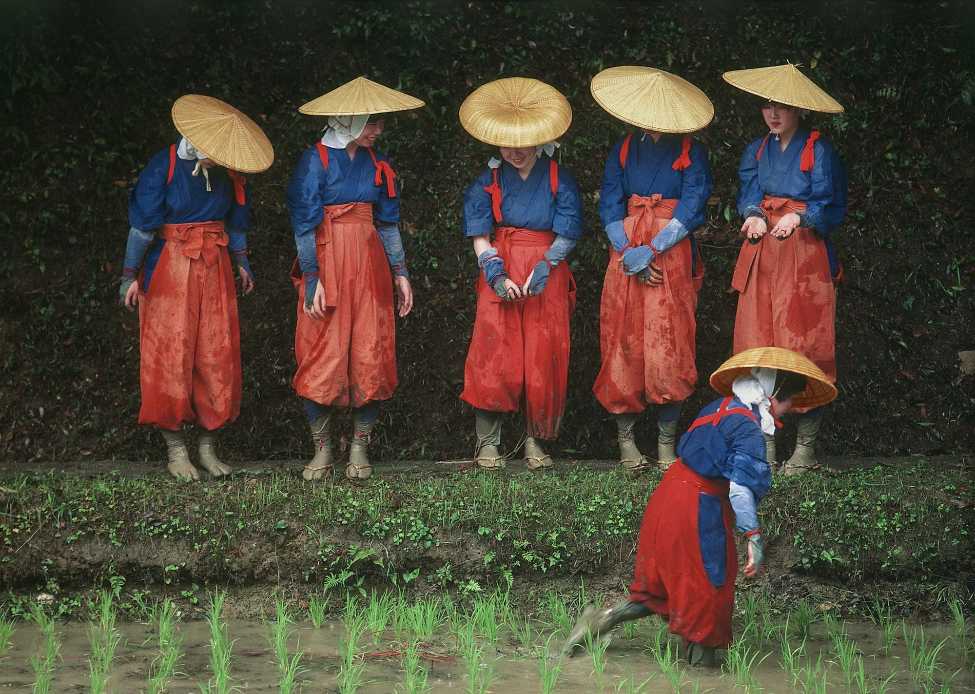 Rice_Planting_Festival__Kyoto__1984_copy.jpg