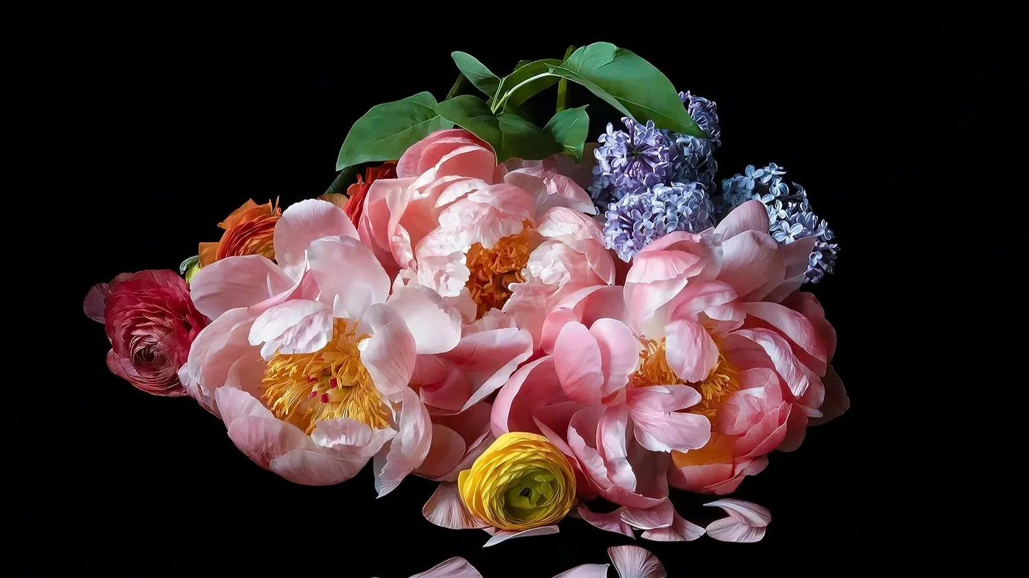 How Jane Fulton Turned Grief Into a 6-Year Photographic Journey in Her Own Garden