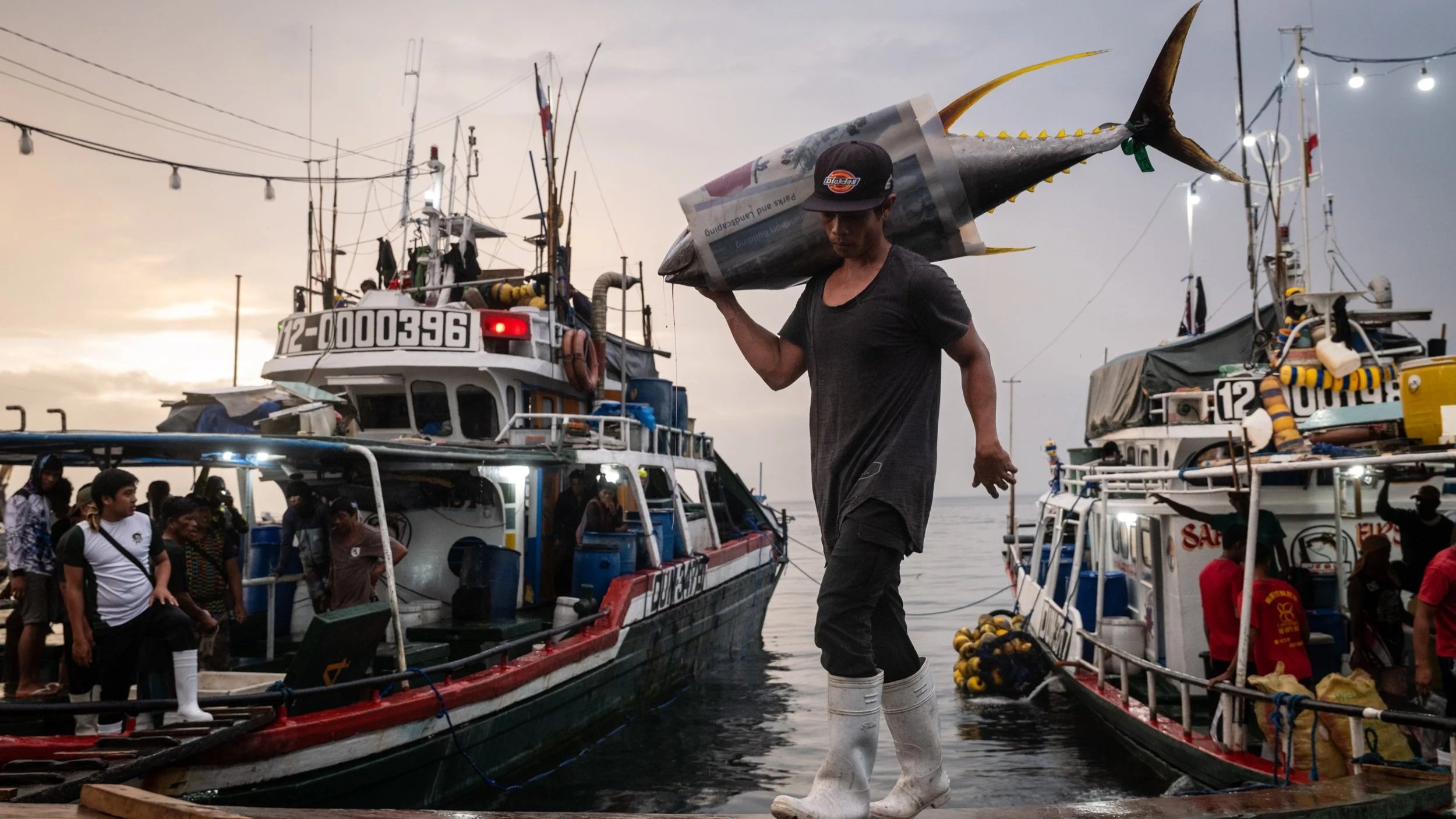 How Nicole Tung Exposed the Invisible System Behind the Fish on Our Plates