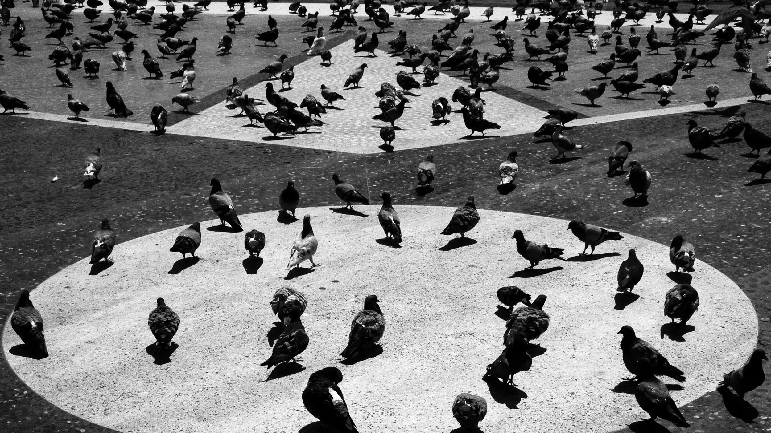 8 Years, 62 Photos, 1 Square: How David Salcedo Turned Everyday Chaos Into A Powerful Visual Story About Modern Cities