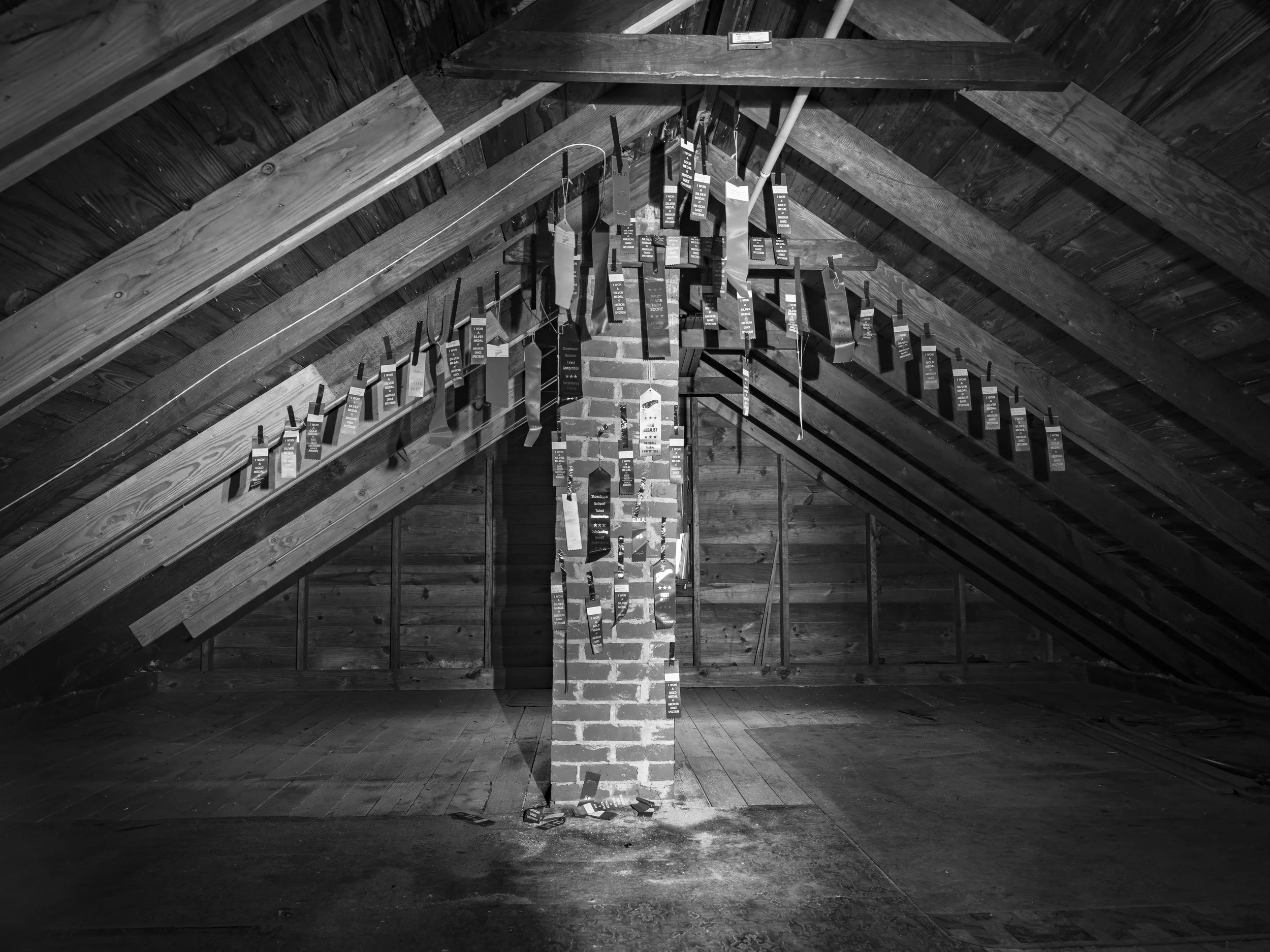 Attic, Trophty Display 2.jpg