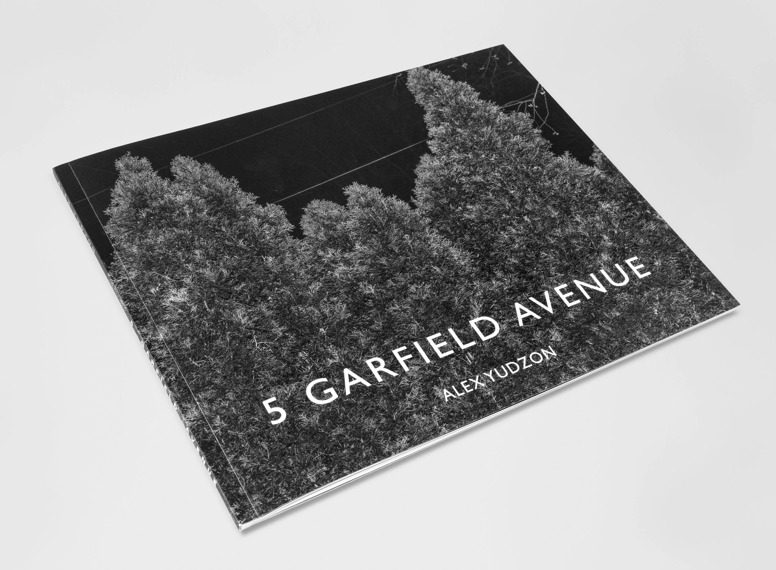 5 Garfield Ave.3-4 view.jpg