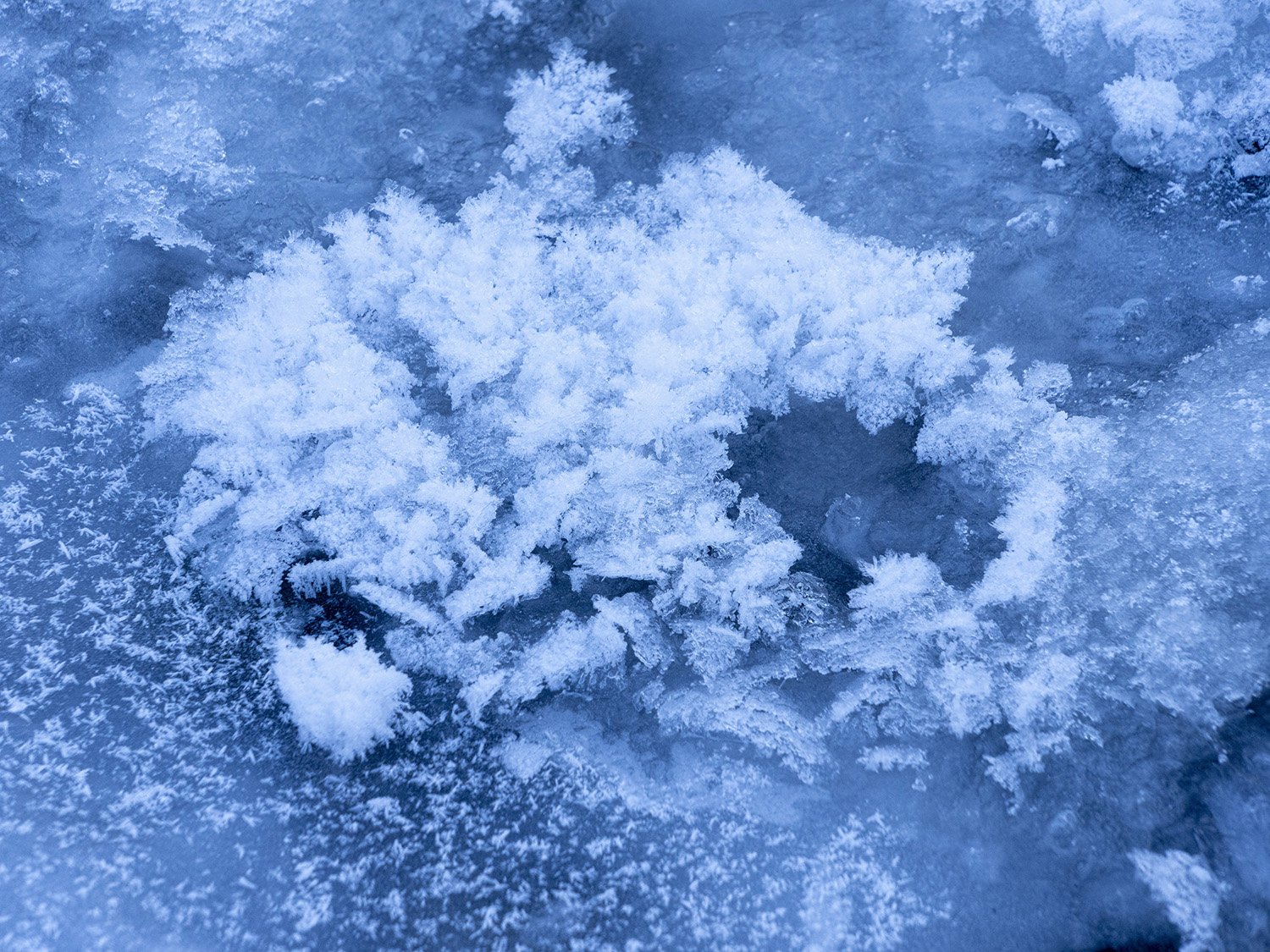 9781969303029_06.jpg