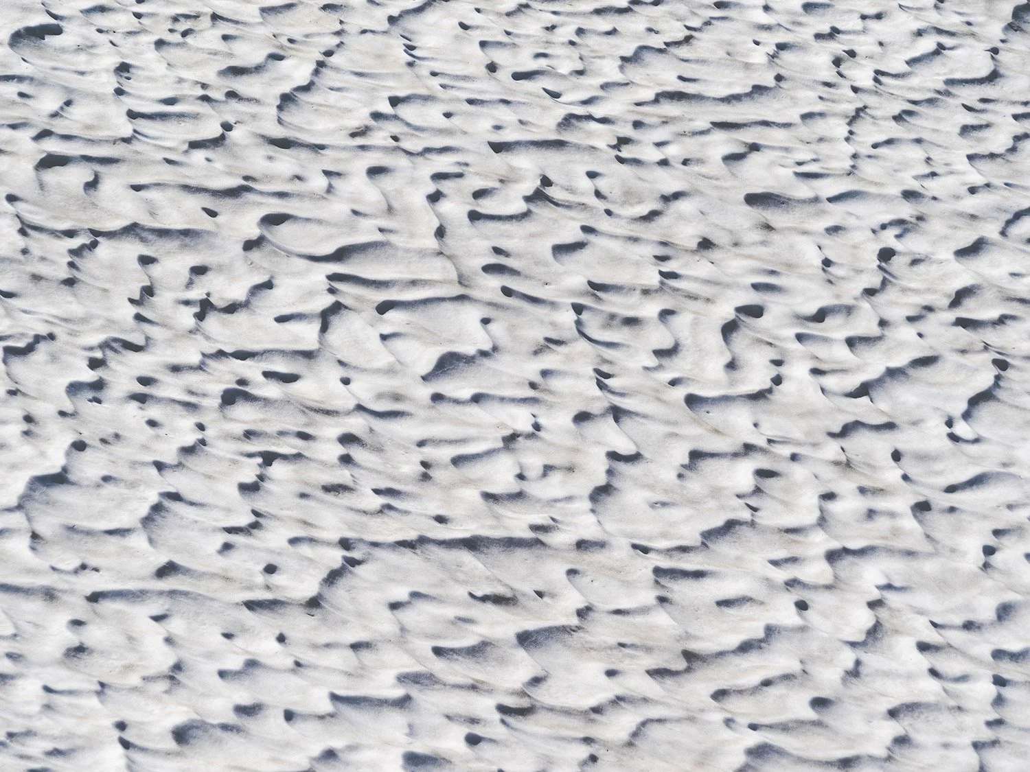 9781969303029_07.jpg