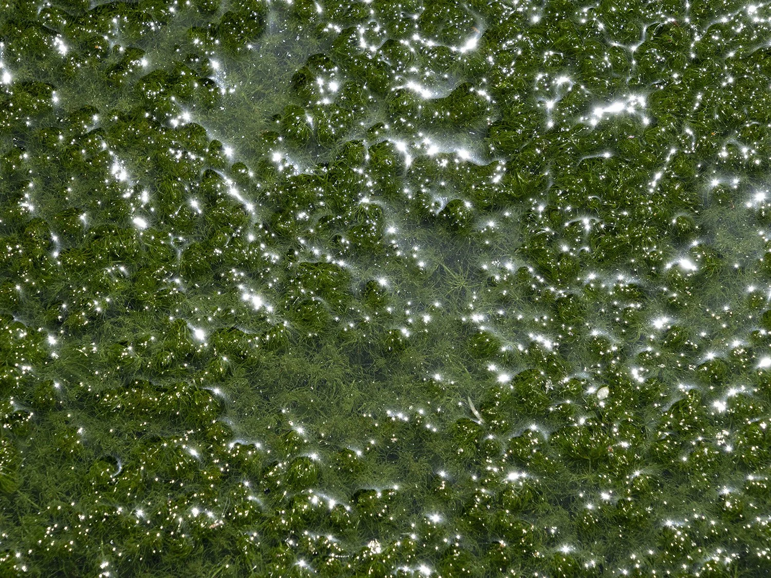 9781969303029_10.jpg