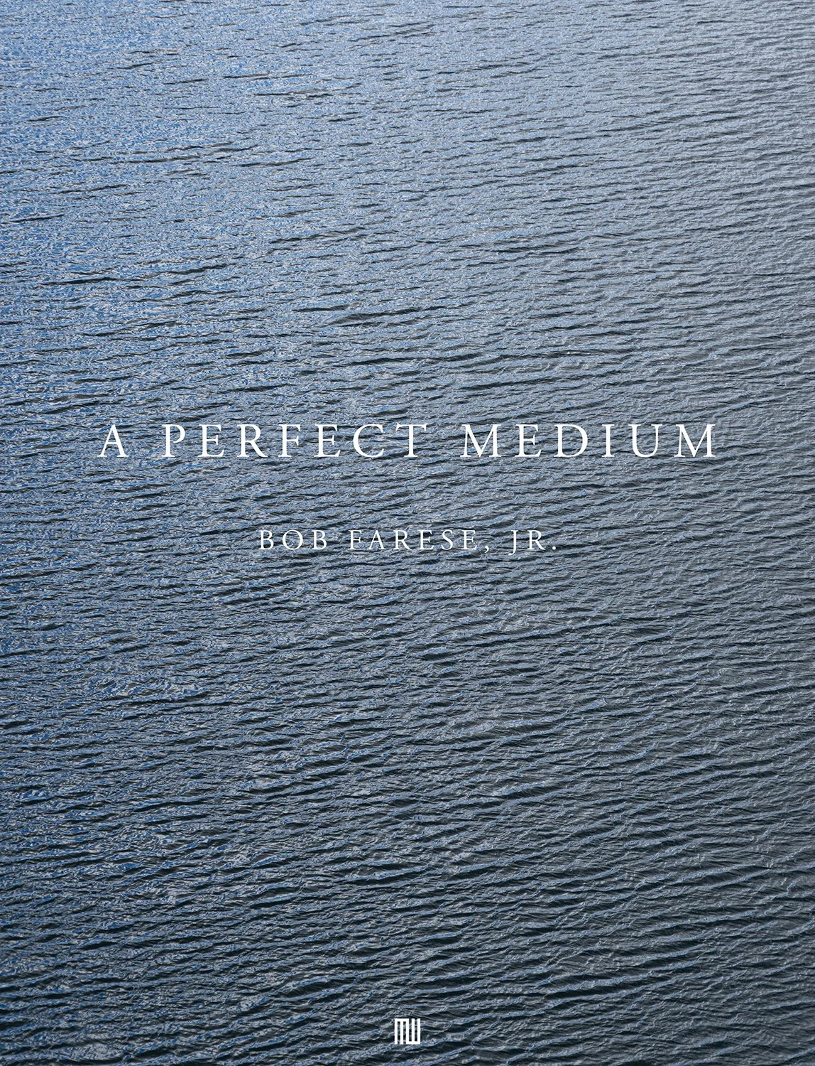COVER_A Perfect Medium.jpg