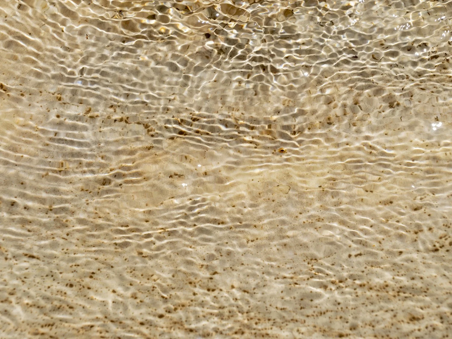 9781969303029_02.jpg
