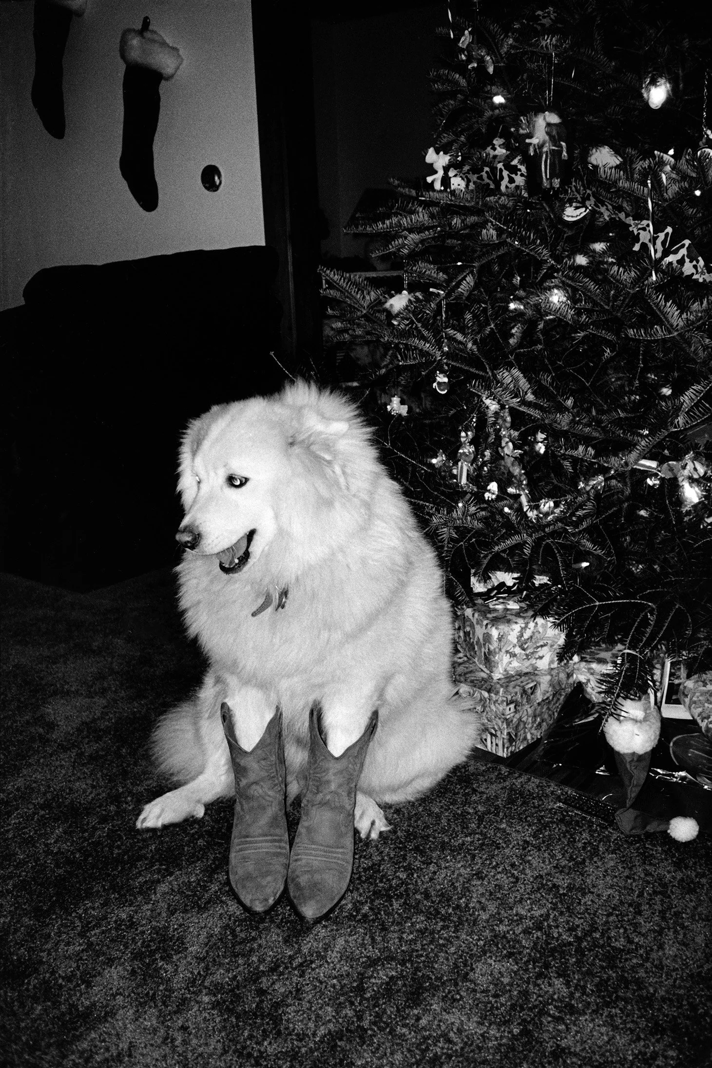 web Nikita, Cowboy Boots, 1997.jpg