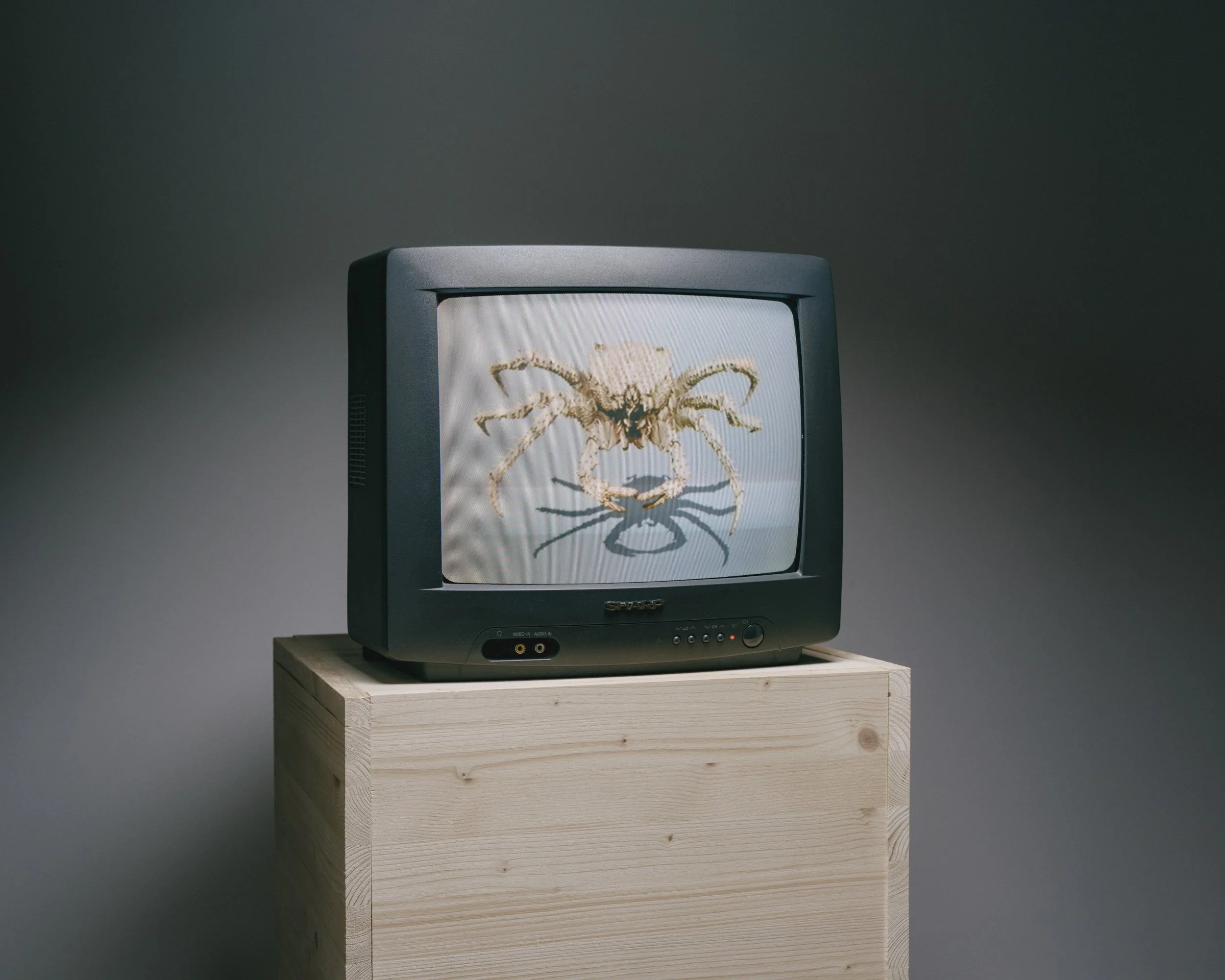 WEIRD (setup)_3.jpg