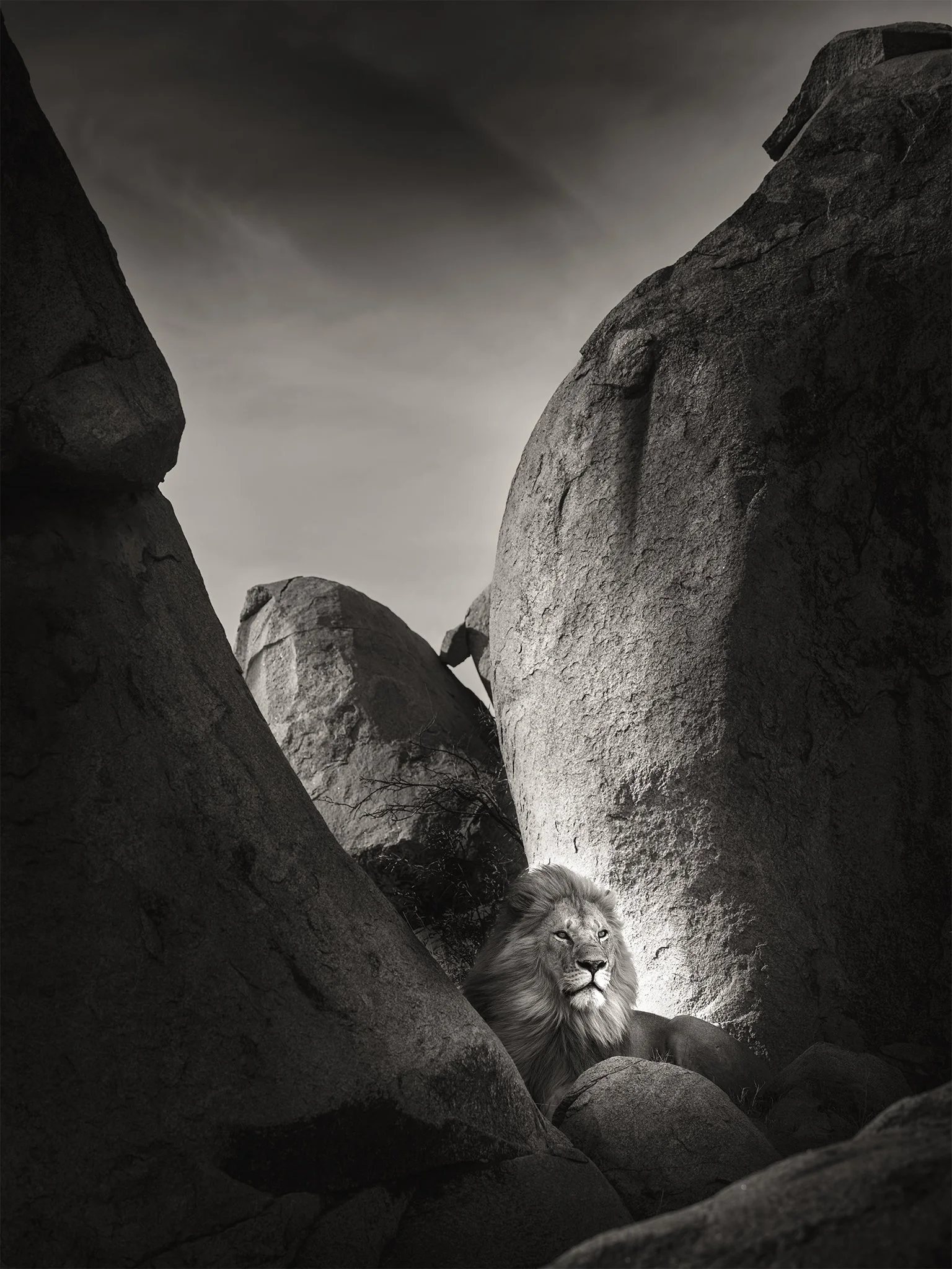 Lion Rock I.jpg