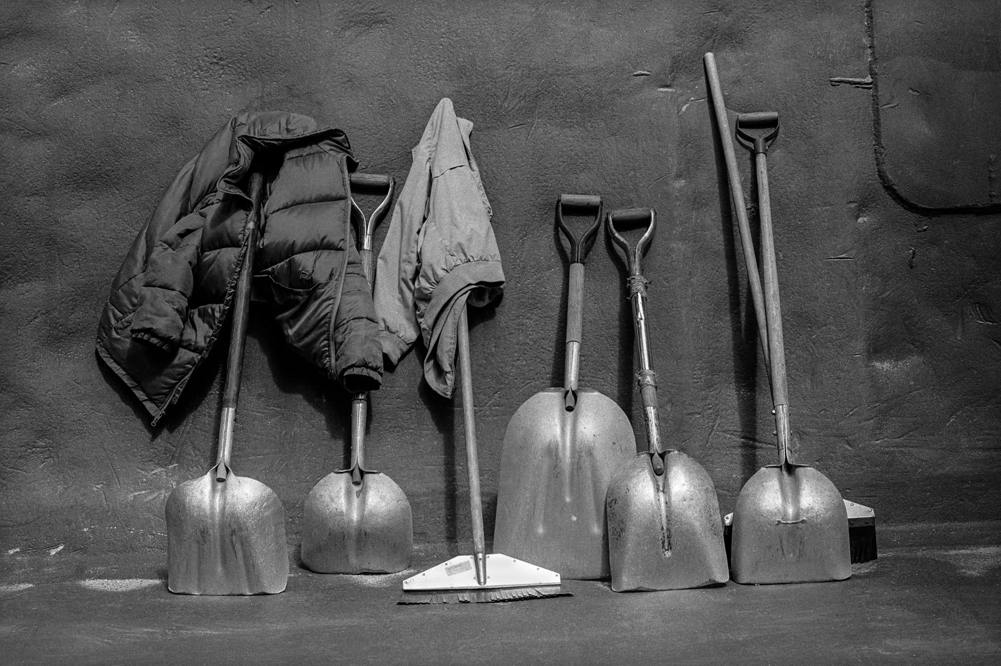 © 2026 Mark Maio-08-A Gang of Scoopers, Buffalo, NY.jpg